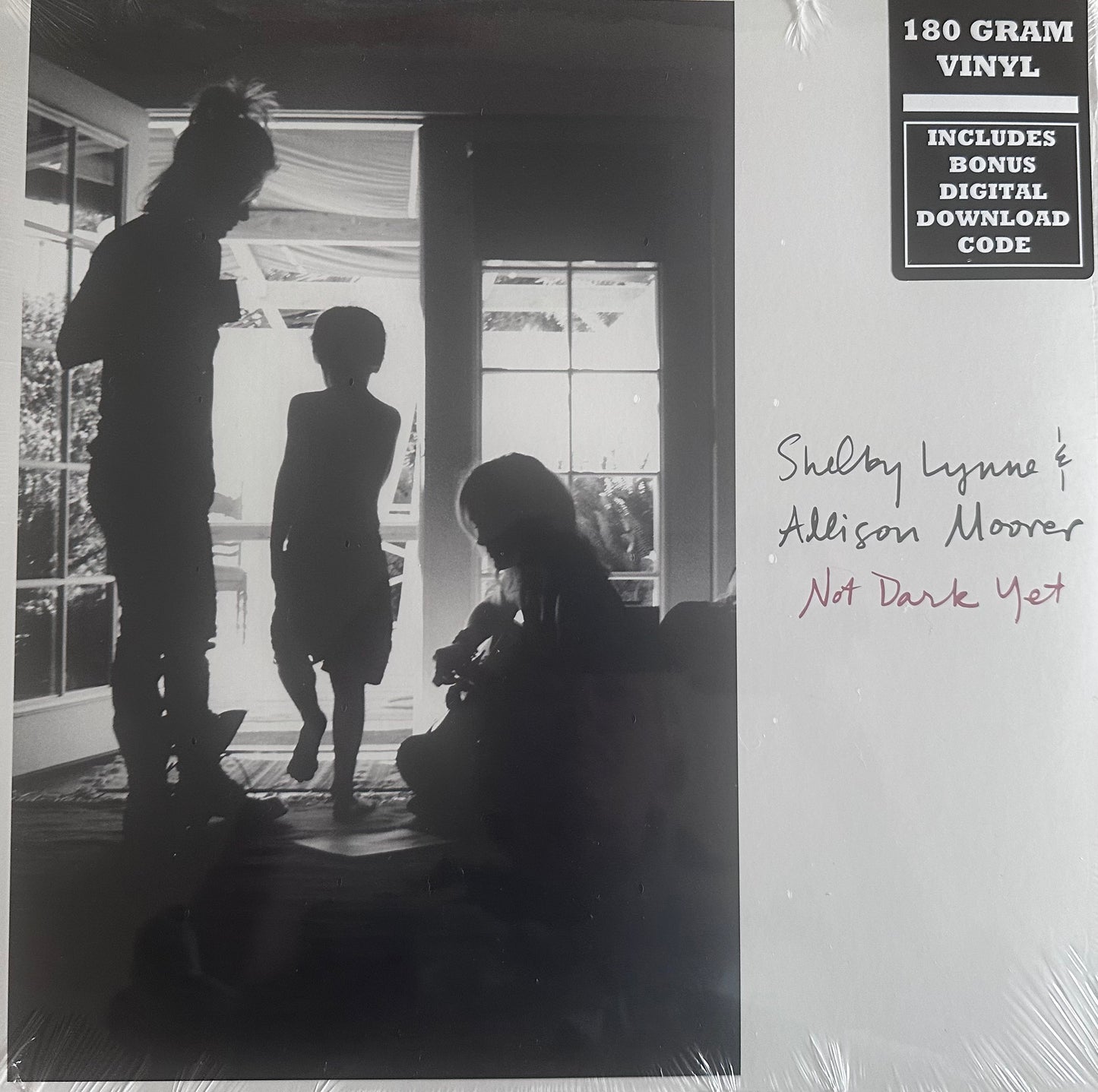 Vinyl: Not Dark Yet